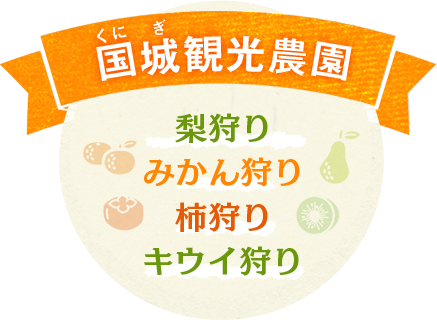 みかんや柿などの果物狩りや旬の果物を販売 国城観光農園